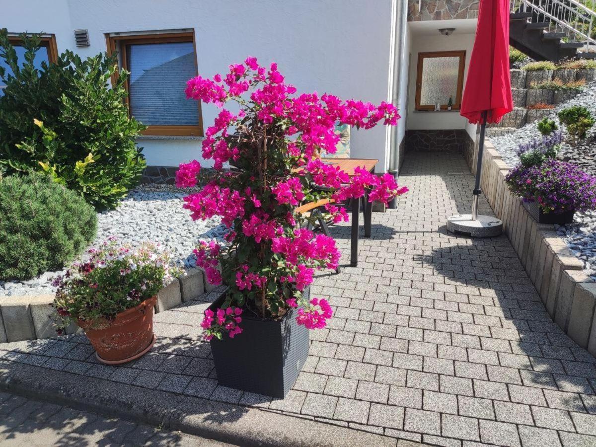 Ferienwohnung Moselzeit 알켄 외부 사진