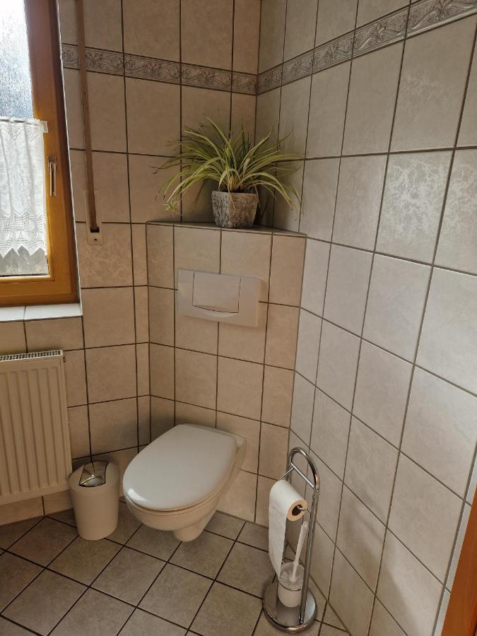 Ferienwohnung Moselzeit 알켄 외부 사진